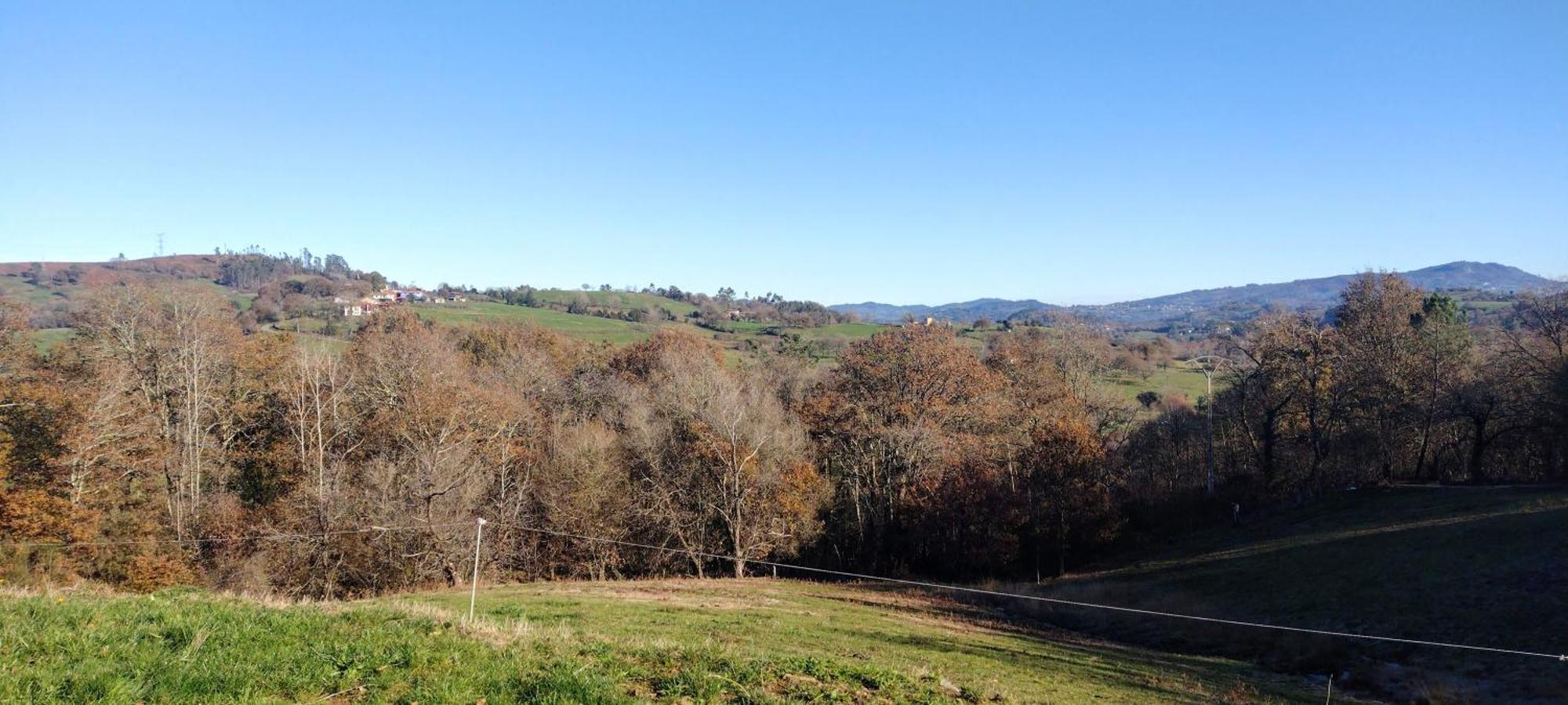 Country house Tulia