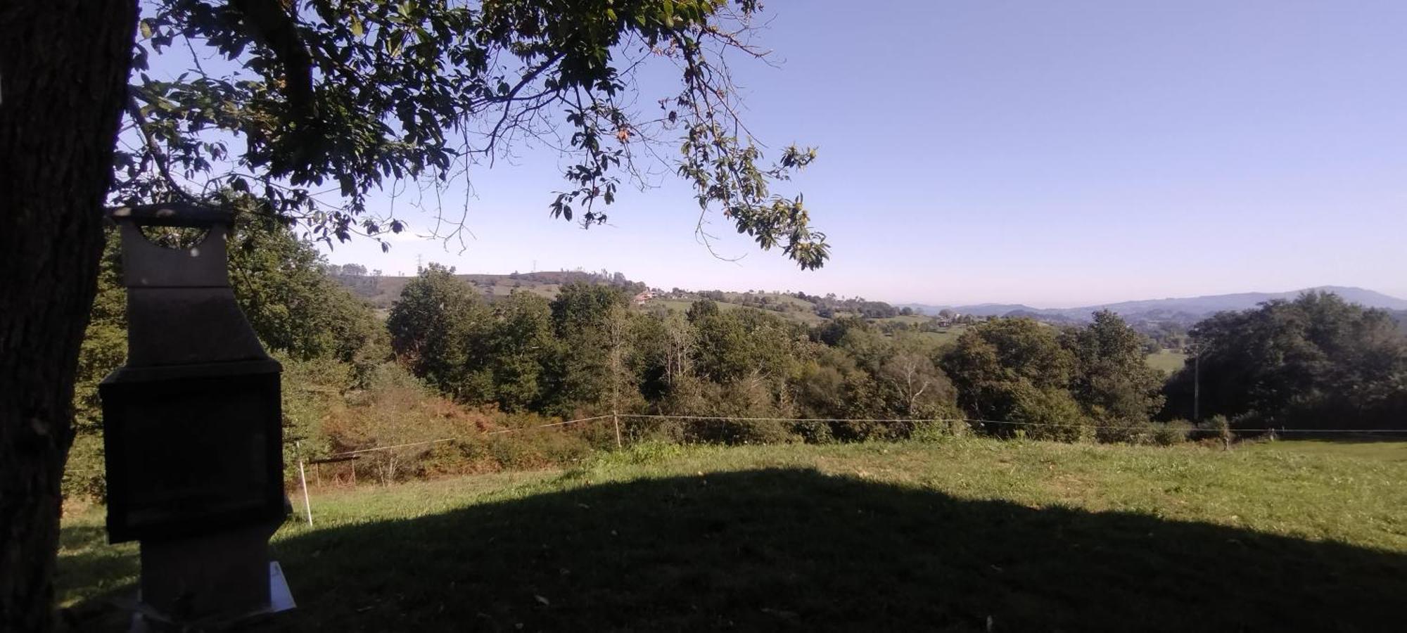 Tulia *