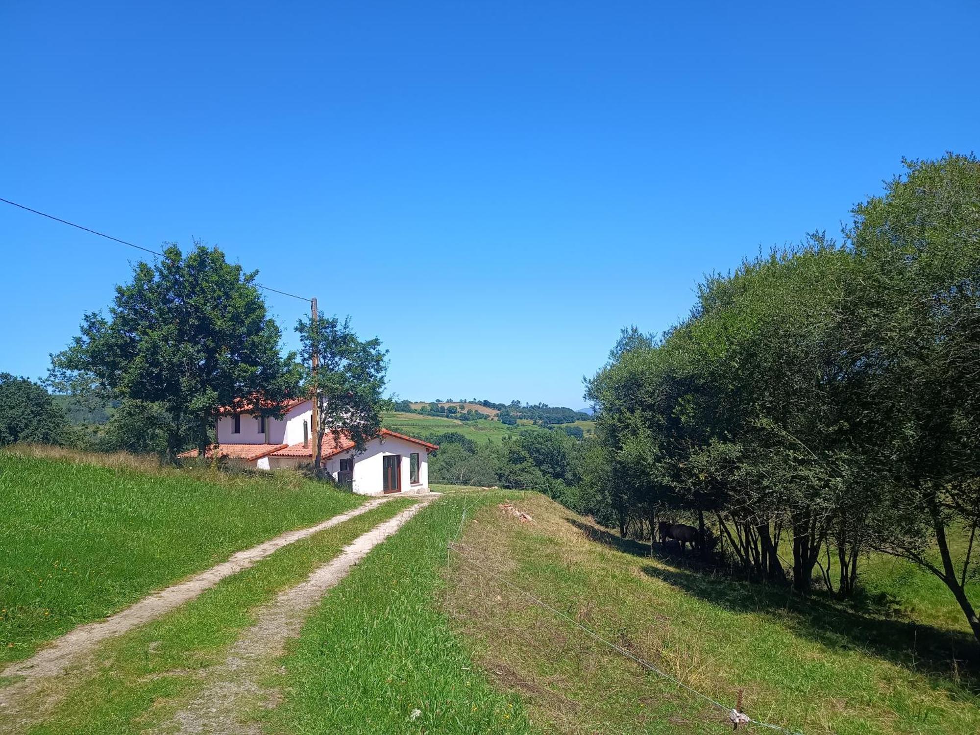 Tulia * Grado